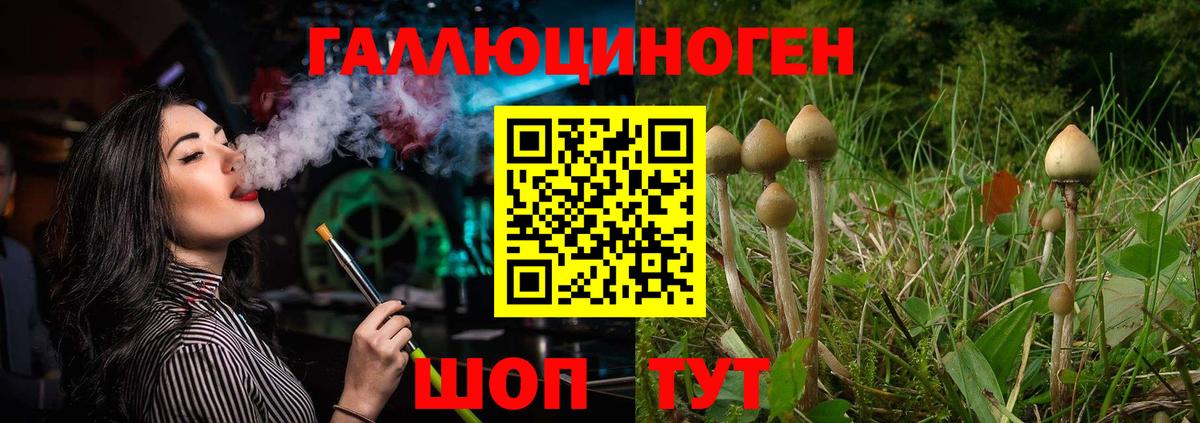 Псилоцибиновые грибы Cubensis  Вход с VPN  Орехово-Зуево 